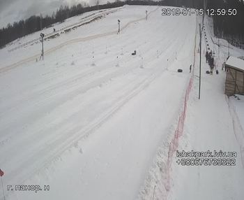 Їжак парк 15 січня 2019 року, 2019-01-15 13:00