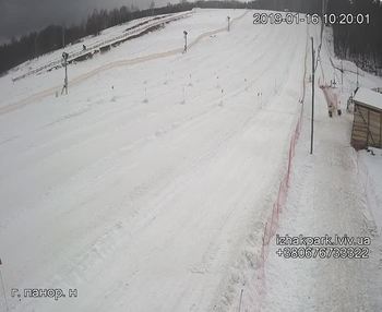 Їжак парк 16 січня 2019 року, 2019-01-16 10:00