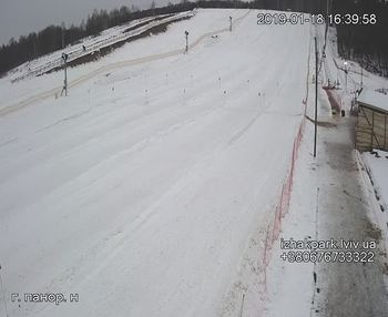 Їжак парк 18 січня 2019 року, 2019-01-18 16:00