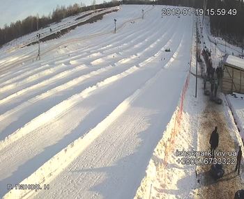 Їжак парк 19 січня 2019 року, 2019-01-19 16:00