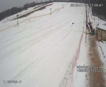 Їжак парк 20 січня 2019 року, 2019-01-20 13:00