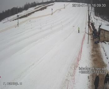 Їжак парк 20 січня 2019 року, 2019-01-20 16:00