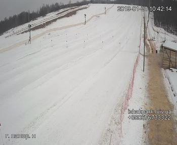 Їжак парк 21 січня 2019 року, 2019-01-21 10:00