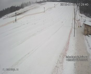 Їжак парк 22 січня 2019 року, 2019-01-22 10:00