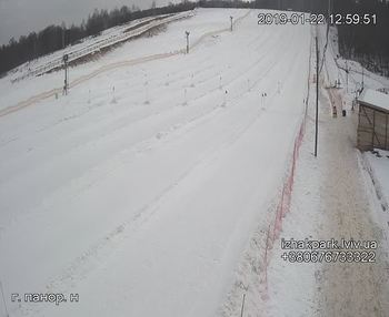 Їжак парк 22 січня 2019 року, 2019-01-22 13:00