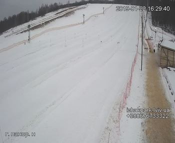 Їжак парк 22 січня 2019 року, 2019-01-22 16:00