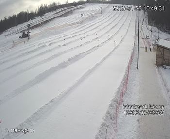 Їжак парк 23 січня 2019 року, 2019-01-23 10:00