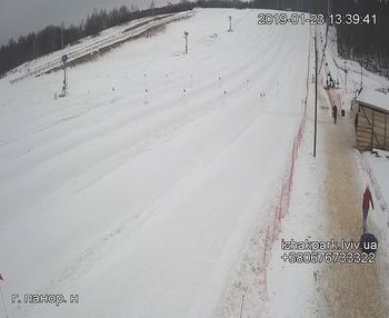 Їжак парк 23 січня 2019 року, 2019-01-23 13:00