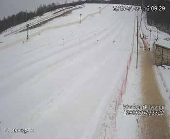 Їжак парк 24 січня 2019 року, 2019-01-24 16:00