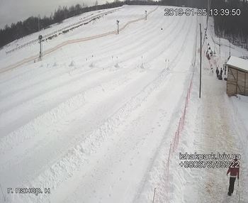 Їжак парк 25 січня 2019 року, 2019-01-25 13:00