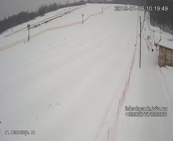 Їжак парк 26 січня 2019 року, 2019-01-26 10:00