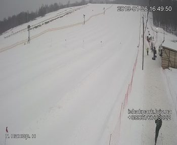 Їжак парк 26 січня 2019 року, 2019-01-26 16:00
