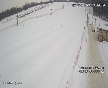 Їжак парк 28 січня 2019 року, 2019-01-28 10:00