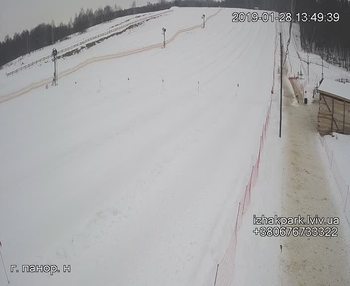 Їжак парк 28 січня 2019 року, 2019-01-28 13:00