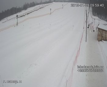 Їжак парк 29 січня 2019 року, 2019-01-29 10:00