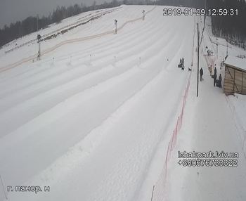 Їжак парк 29 січня 2019 року, 2019-01-29 13:00