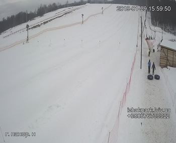Їжак парк 29 січня 2019 року, 2019-01-29 16:00