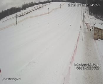 Їжак парк 30 січня 2019 року, 2019-01-30 10:00
