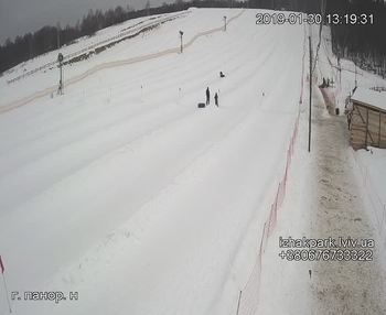 Їжак парк 30 січня 2019 року, 2019-01-30 13:00