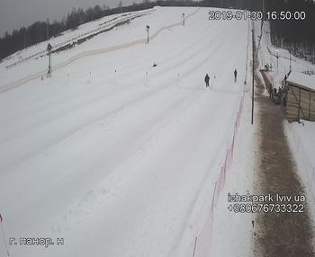 Їжак парк 30 січня 2019 року, 2019-01-30 16:00