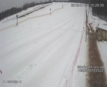 Їжак парк 31 січня 2019 року, 2019-01-31 10:00