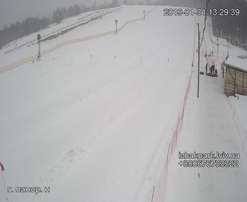 Їжак парк 31 січня 2019 року, 2019-01-31 13:00