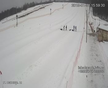 Їжак парк 31 січня 2019 року, 2019-01-31 16:00