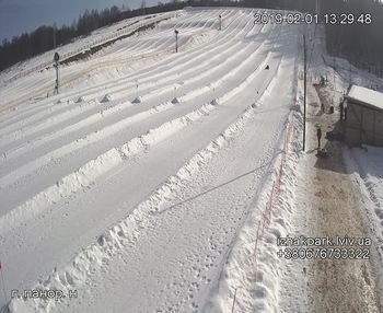 Їжак парк 1 лютого 2019 року, 2019-02-01 13:00