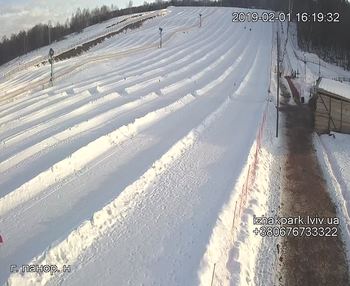 Їжак парк 1 лютого 2019 року, 2019-02-01 16:00