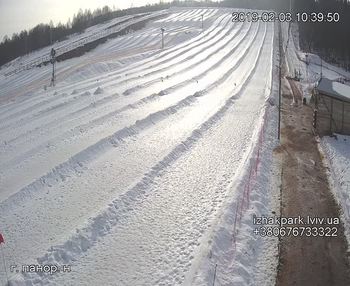 Їжак парк 3 лютого 2019 року, 2019-02-03 10:00