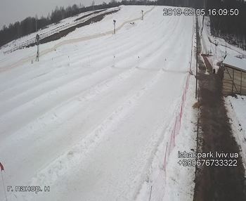 Їжак парк 5 лютого 2019 року, 2019-02-05 16:00