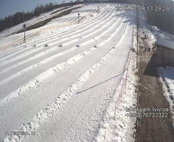 Їжак парк 8 лютого 2019 року, 2019-02-08 13:00