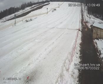 Їжак парк 11 лютого 2019 року, 2019-02-11 13:00