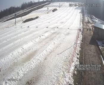 Їжак парк 16 лютого 2019 року, 2019-02-16 13:00