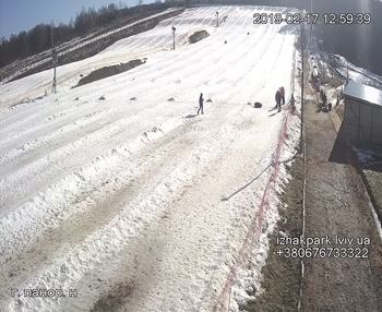 Їжак парк 17 лютого 2019 року, 2019-02-17 13:00