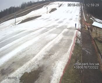 Їжак парк 21 лютого 2019 року, 2019-02-21 13:00