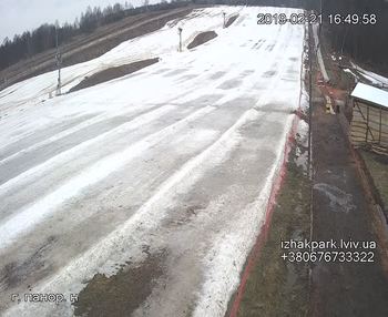 Їжак парк 21 лютого 2019 року, 2019-02-21 16:00