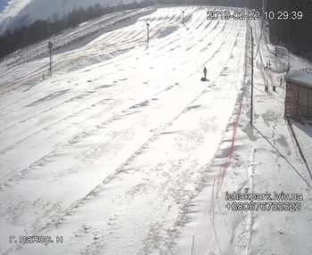 Їжак парк 22 лютого 2019 року, 2019-02-22 10:00
