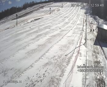 Їжак парк 22 лютого 2019 року, 2019-02-22 13:00