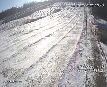 Їжак парк 23 лютого 2019 року, 2019-02-23 10:00