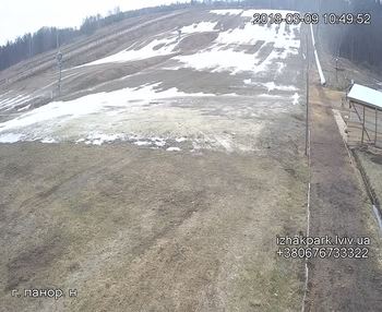 Їжак парк 9 березня 2019 року, 2019-03-09 10:00