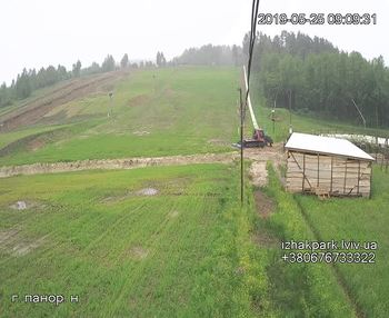 Їжак парк 25 травня 2019 року, 2019-05-25 10:00