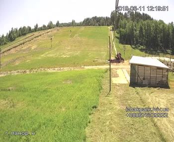 Їжак парк 11 червня 2019 року, 2019-06-11 13:00