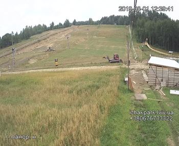 Їжак парк 1 серпня 2019 року, 2019-08-01 13:00