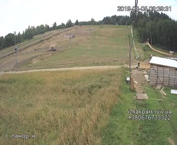 Їжак парк 5 серпня 2019 року, 2019-08-05 10:00