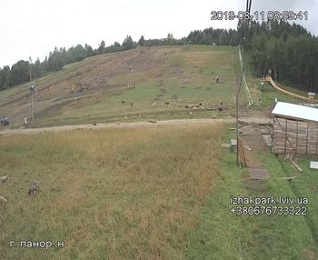 Їжак парк 11 серпня 2019 року, 2019-08-11 10:00