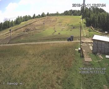 Їжак парк 11 серпня 2019 року, 2019-08-11 13:00