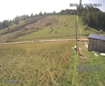Їжак парк 12 серпня 2019 року, 2019-08-12 10:00