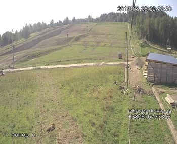 Їжак парк 28 серпня 2019 року, 2019-08-28 10:00