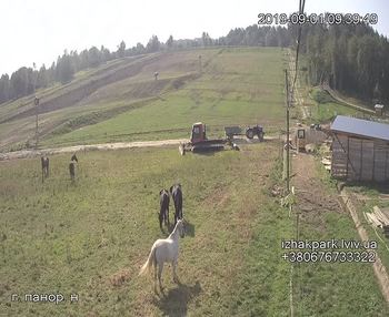 Їжак парк 1 вересня 2019 року, 2019-09-01 10:00